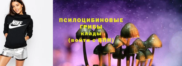 шишки Кинешма