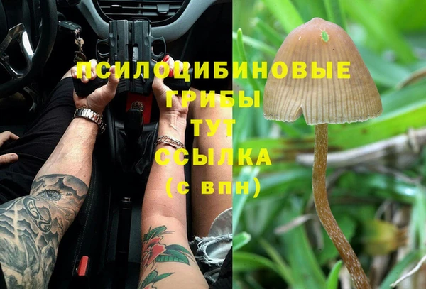 шишки Кинешма
