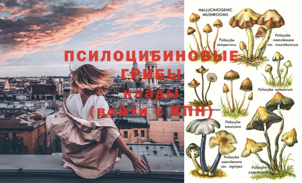 кокс Киреевск