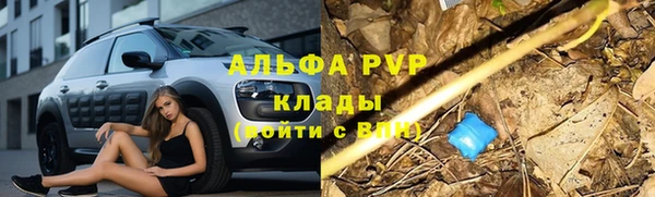 шишки Кинешма