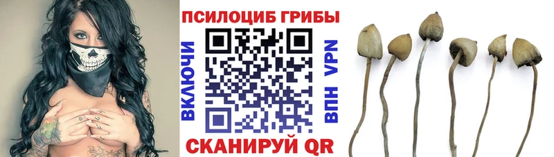 Псилоцибиновые грибы Cubensis  гидра рабочий сайт  Лакинск 